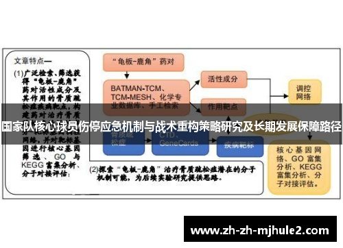 国家队核心球员伤停应急机制与战术重构策略研究及长期发展保障路径 国家队核心球员伤停应急机制与战术重构策略研究及长期发展保障路径